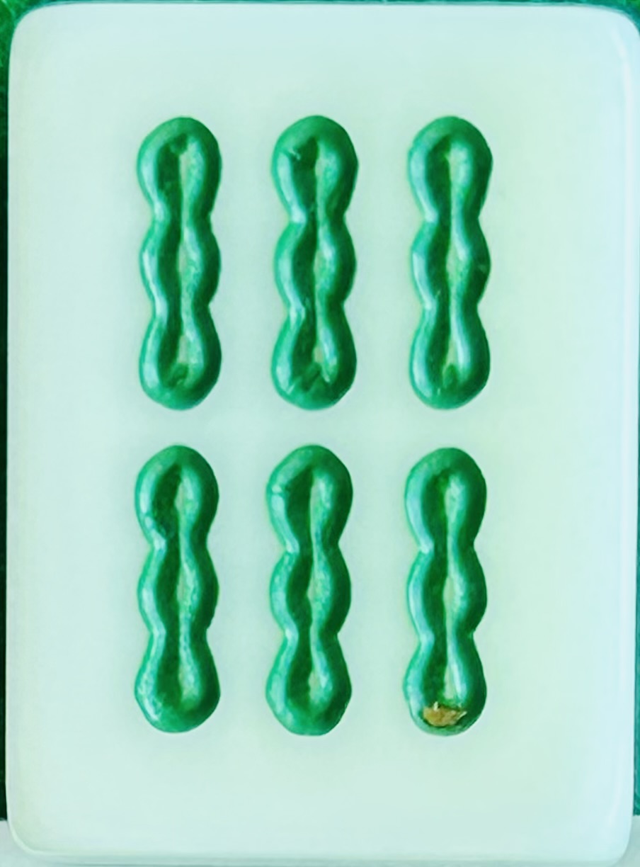 bamboo 6