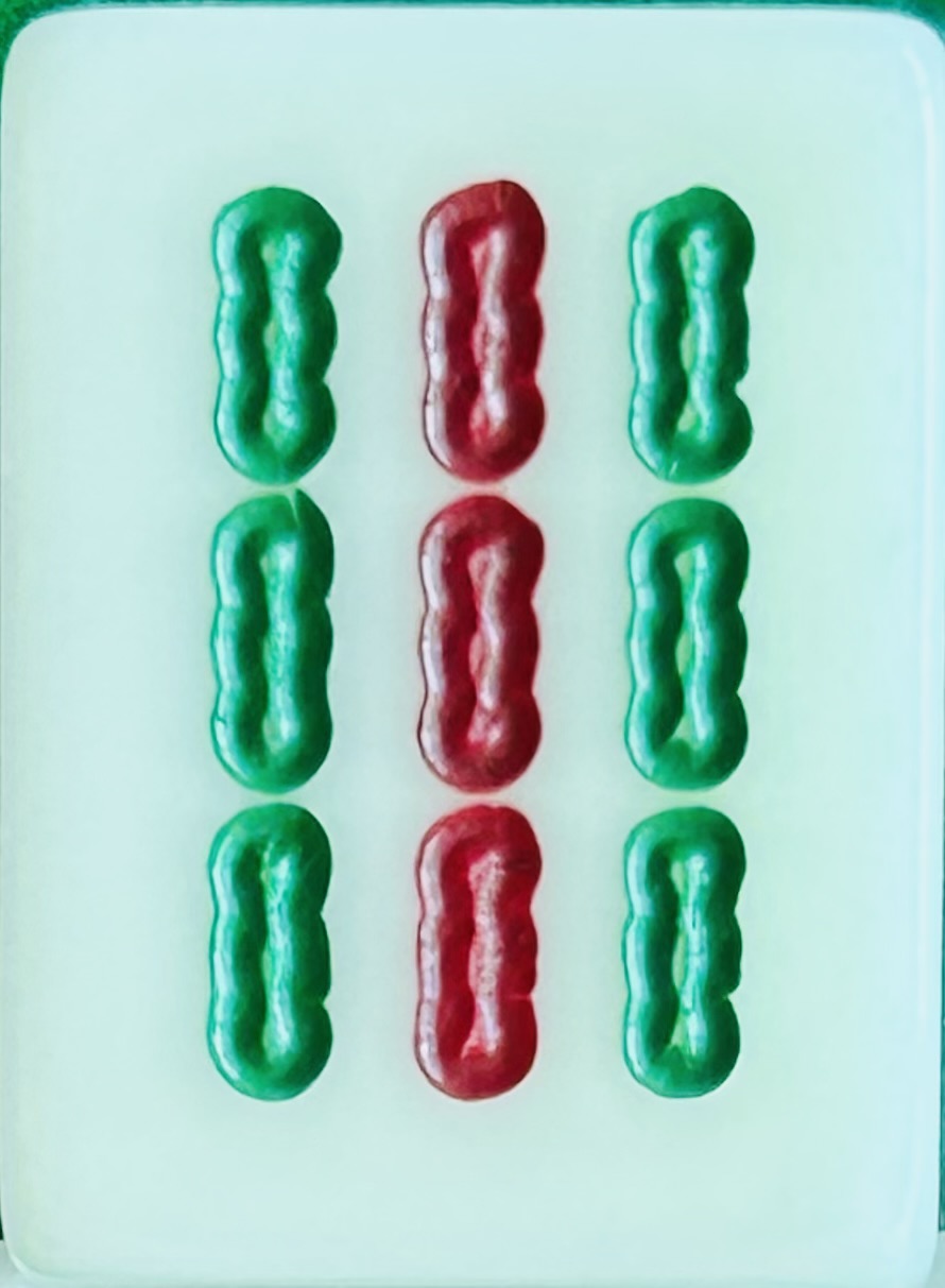 bamboo 9